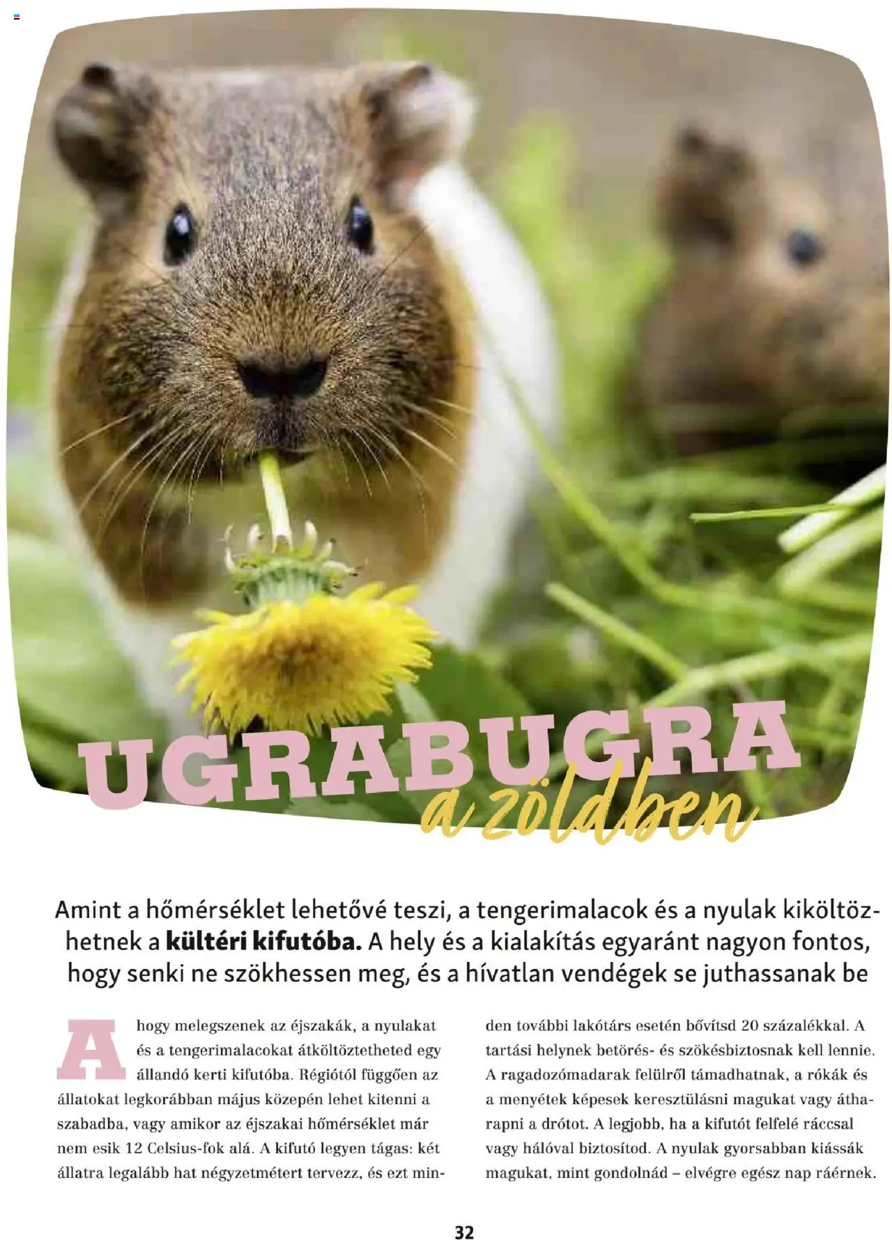 Fressnapf akciós ujság - amely érvényes a következő dátumtól: 05.05.2025 | Oldal: 32