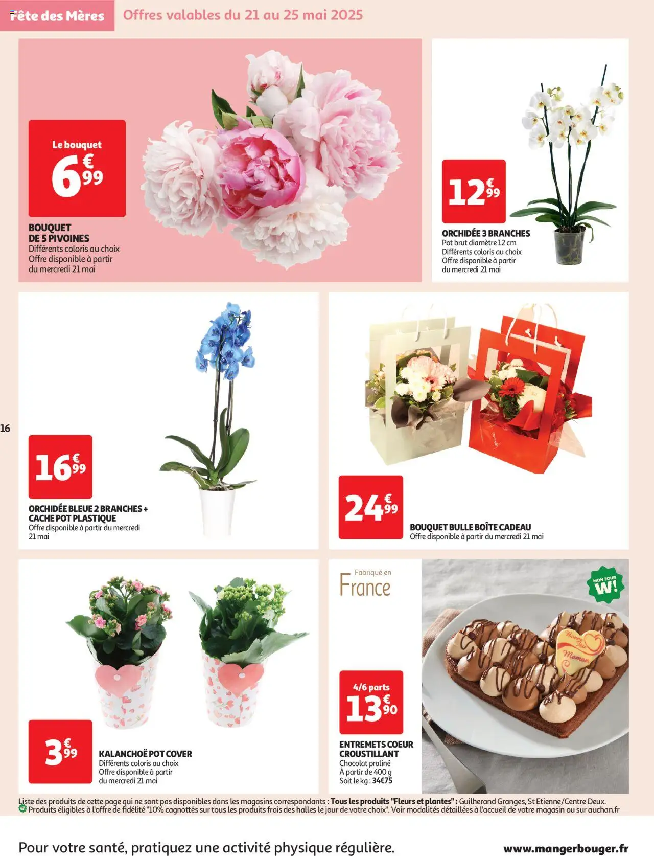  | Page: 16 | Produits: Plantes, Fleurs et plantes, Orchidée, Chocolat