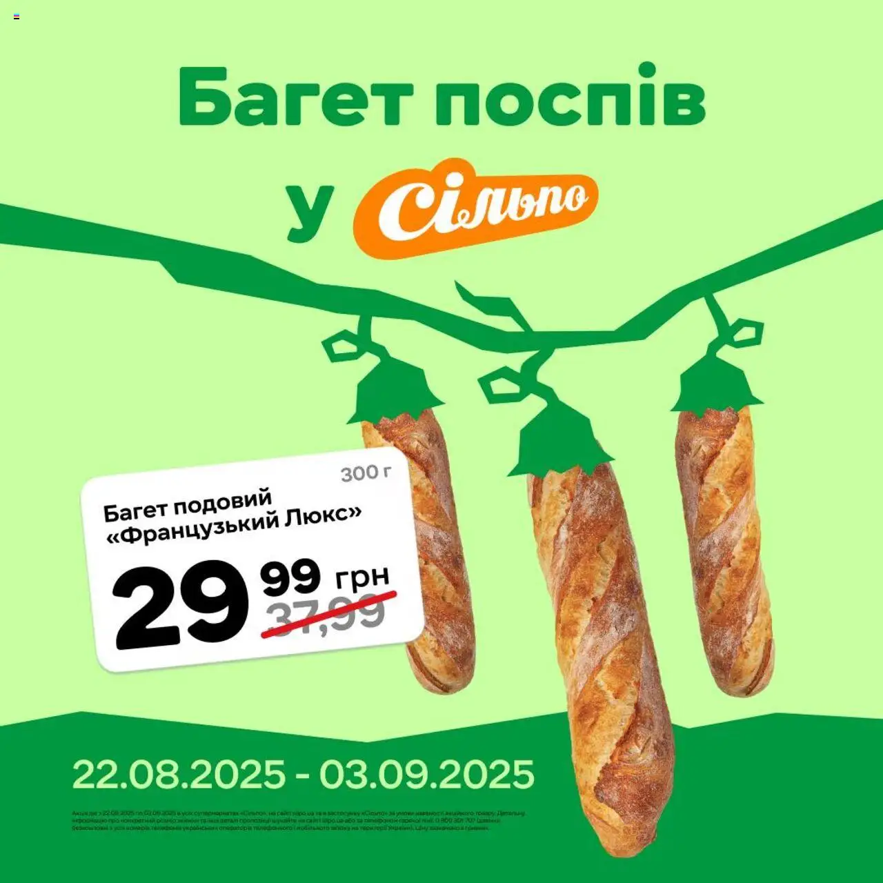 Сільпо Kаталог - дійснийкції з 22.08.2025 | Сторінка: 1