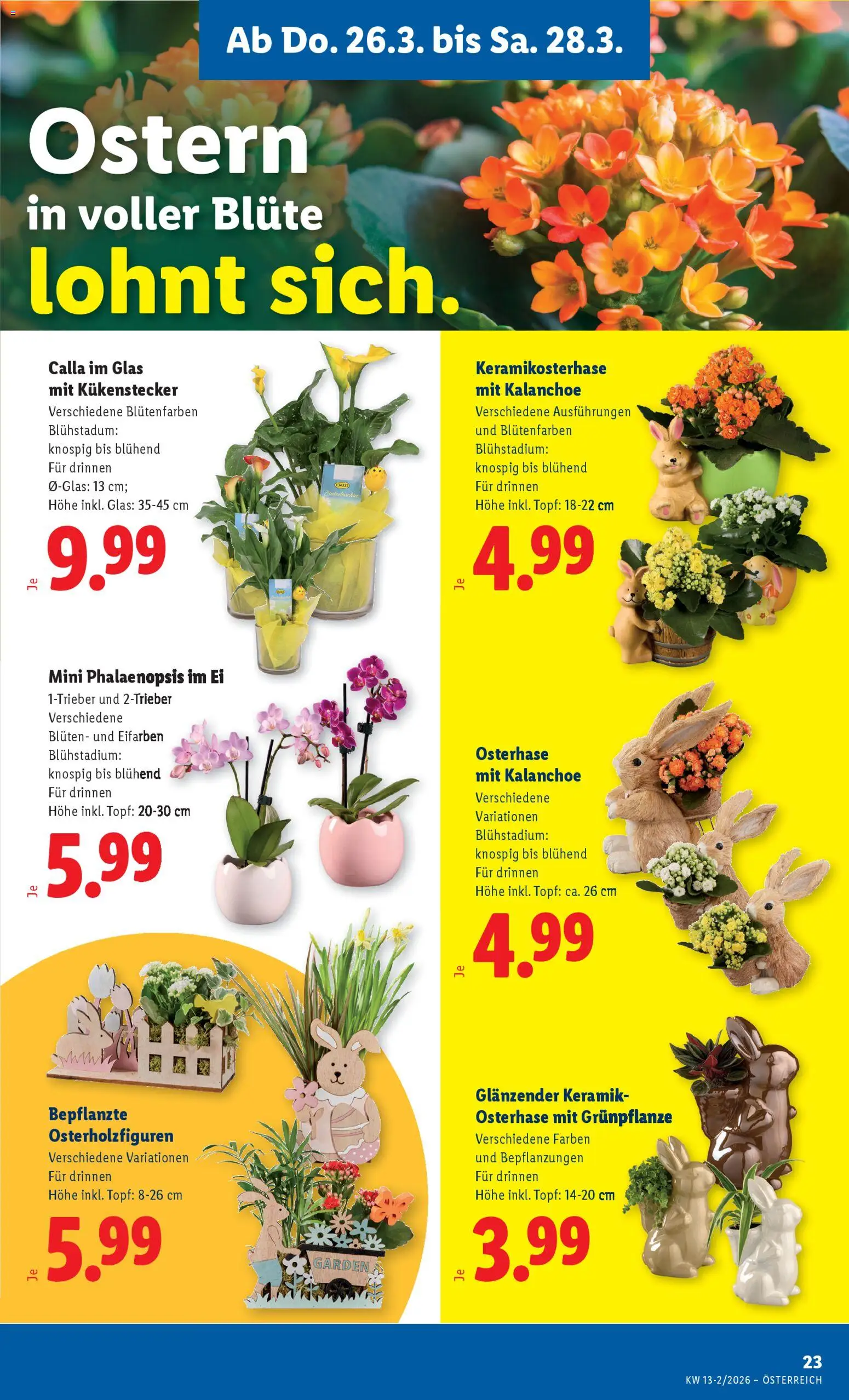 Lidl Flugblatt - Oberpullendorf, Güssing, Oberwart gültig ab 26.03.2026 | Seite: 25