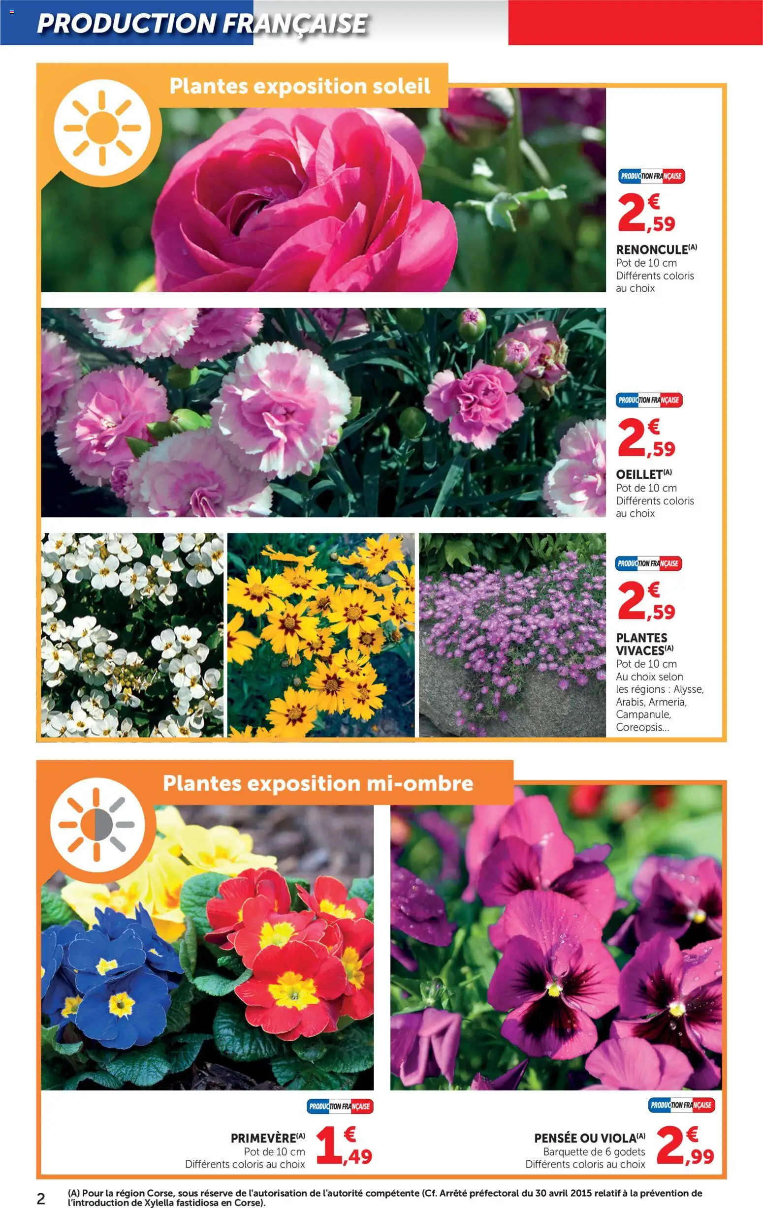 {H1} | Page: 2 | Produits: Plantes