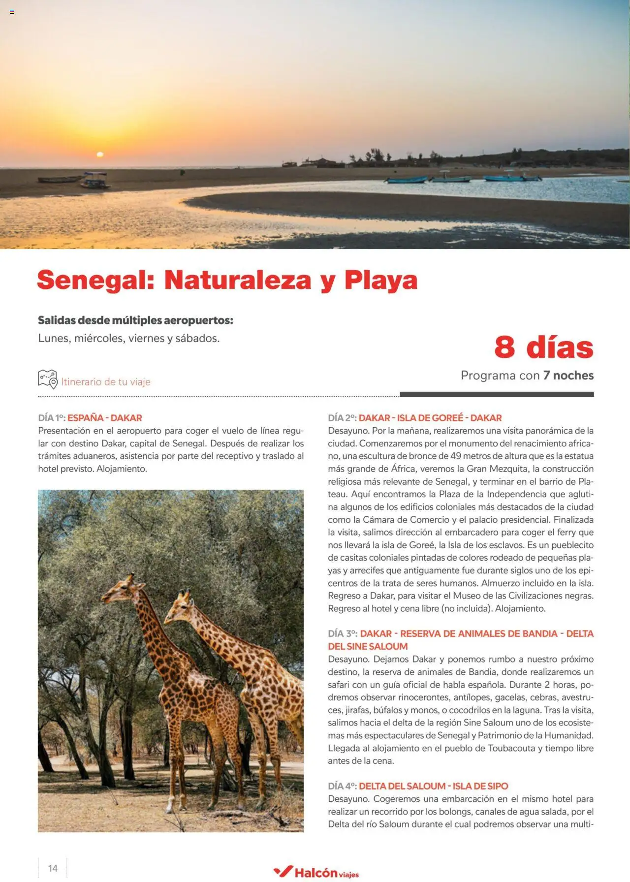 Halcón Viajes Senegal │ válido desde el 26.04.2024 | Página: 14 | Productos: Cámara
