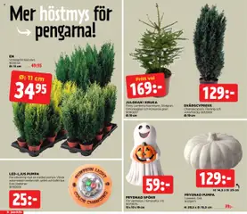 Jem & Fix - erbjudanden - Förhandsvisning av reklamblad från butik Jem & Fix aktuell från 20.10.2025 | Sida: 16 | Produkter: Kruka, Pumpa