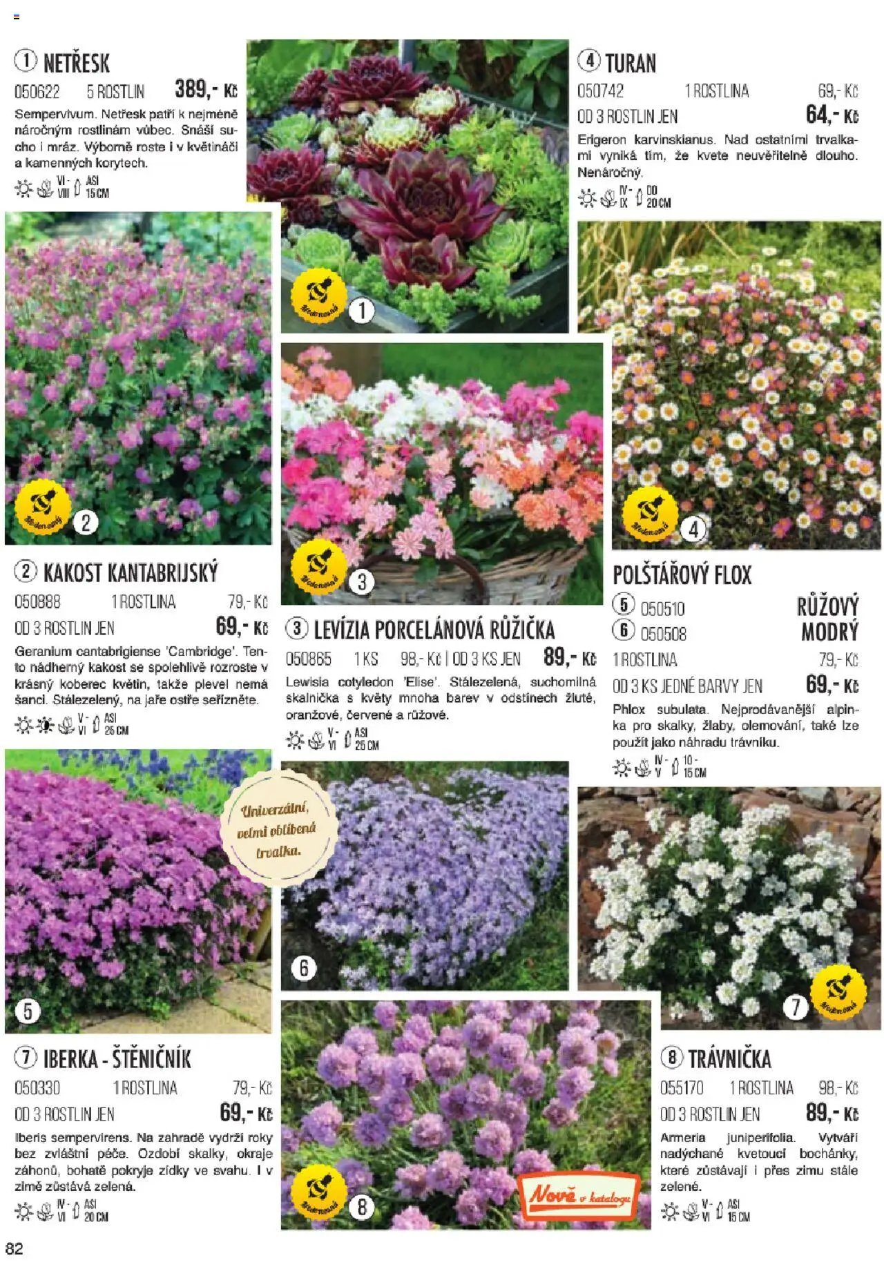 Starkl katalog jaro 2024 od 06.01.2025 | Strana: 82 | Produkty: Koberec, Barvy, DVD