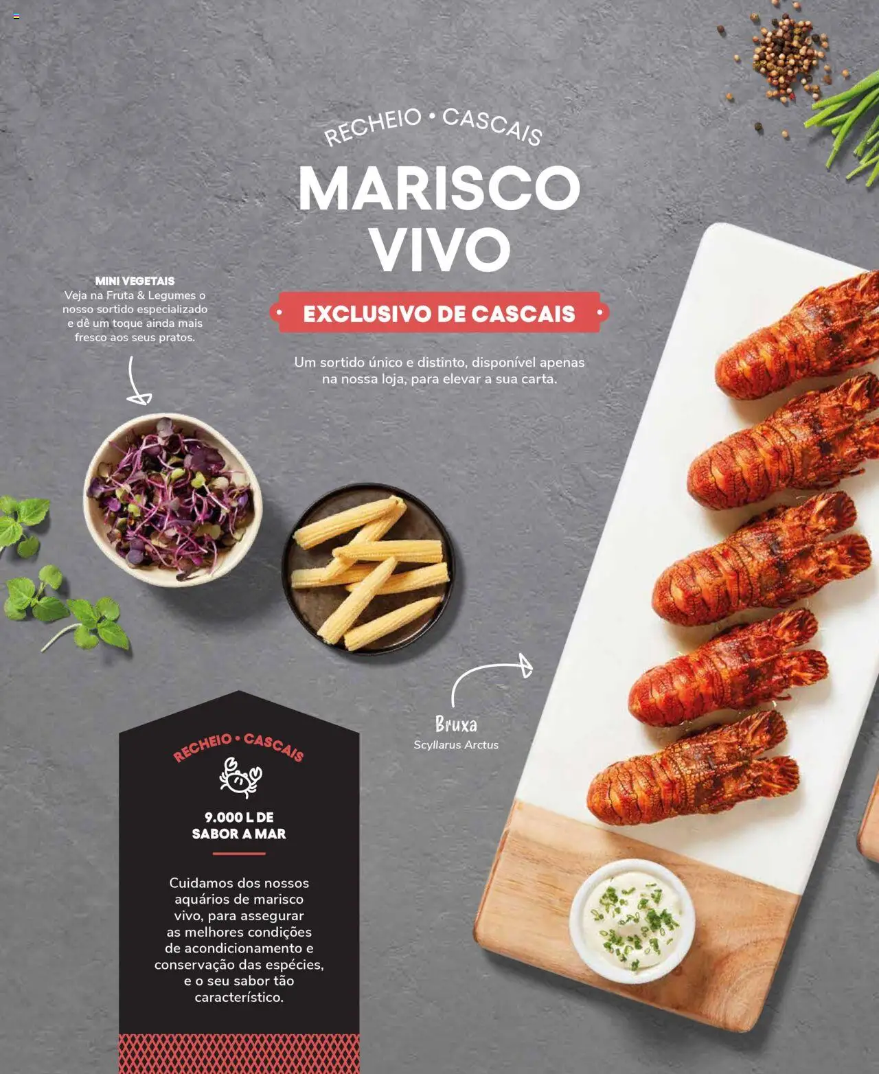 Recheio Peixaria │ válido de 19.09.2024 | Página: 26