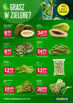 Makro Gazetka - Festiwal kolorów od 21.07.2025 | Strona: 1