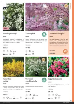 Náhled letáku Starkl katalog od 25.02.2026 | Strana: 33