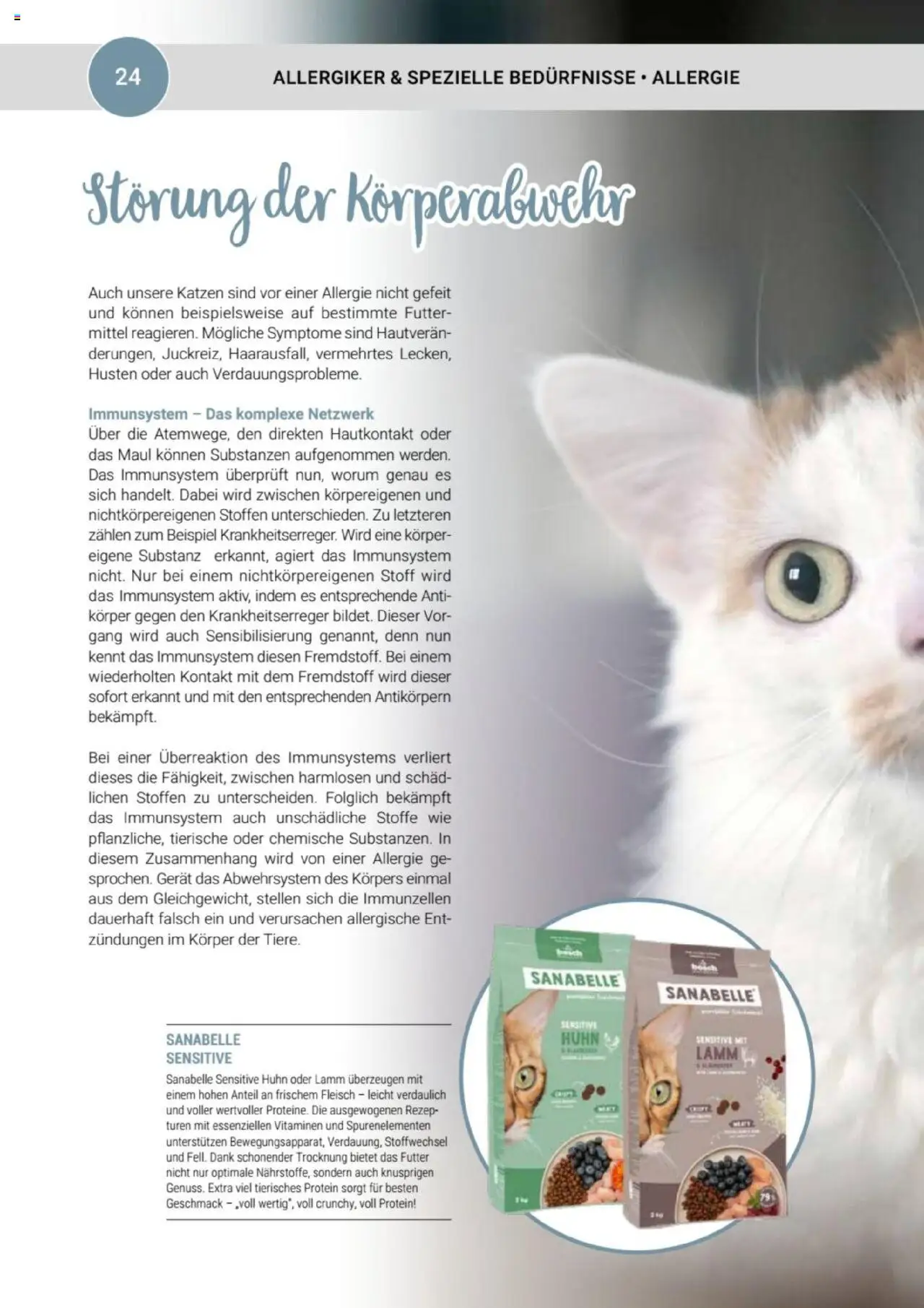 zookauf Themenkatalog Katze – gültig ab 01.10.2025 | Seite: 24 | Produkte: Bosch, Fleisch