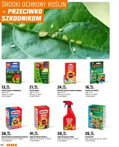 Pogląd oferty "OBI gazetka - Ogród" - ważna od 11.03.2026 | Strona: 156 | Produkty: Rosliny, Kwiaty, Owoce