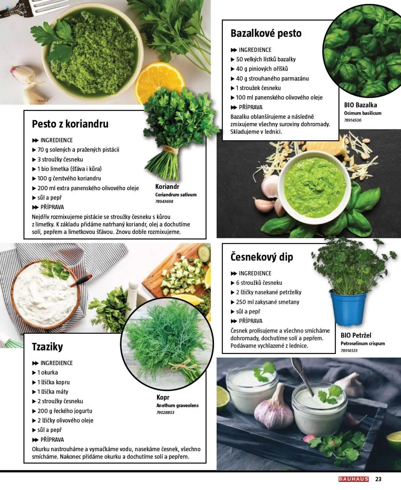 Bauhaus katalog Grilování od 26.06.2025 | Strana: 23 | Produkty: Oleje, Pistácie, Bazalkové pesto, Bazalka