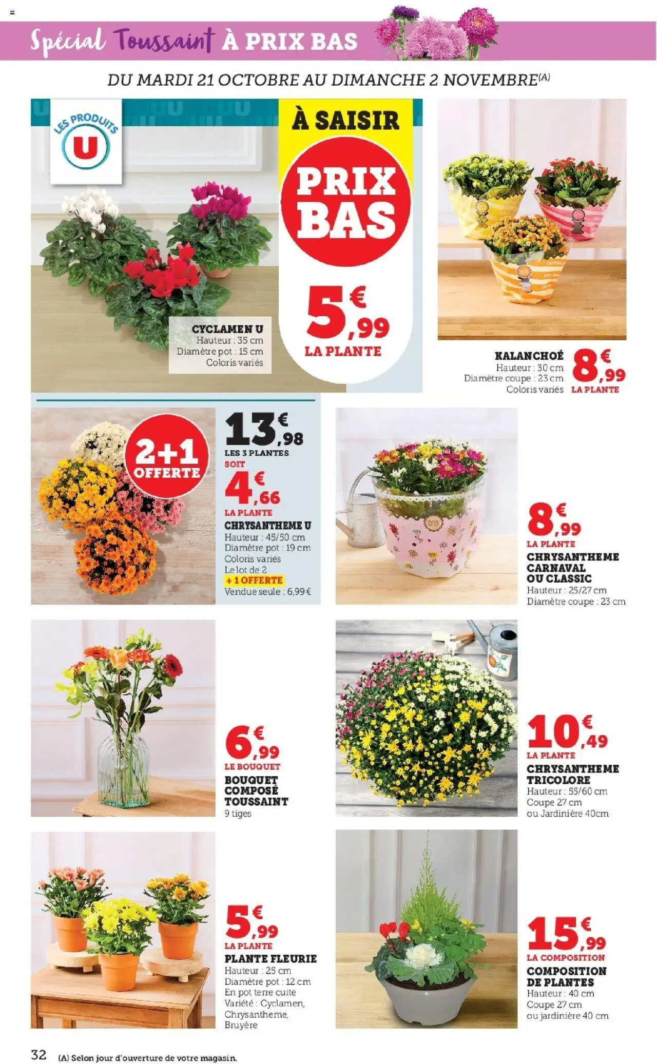 {H1} | Page: 32 | Produits: Plantes, Jardinière, Chrysanthème