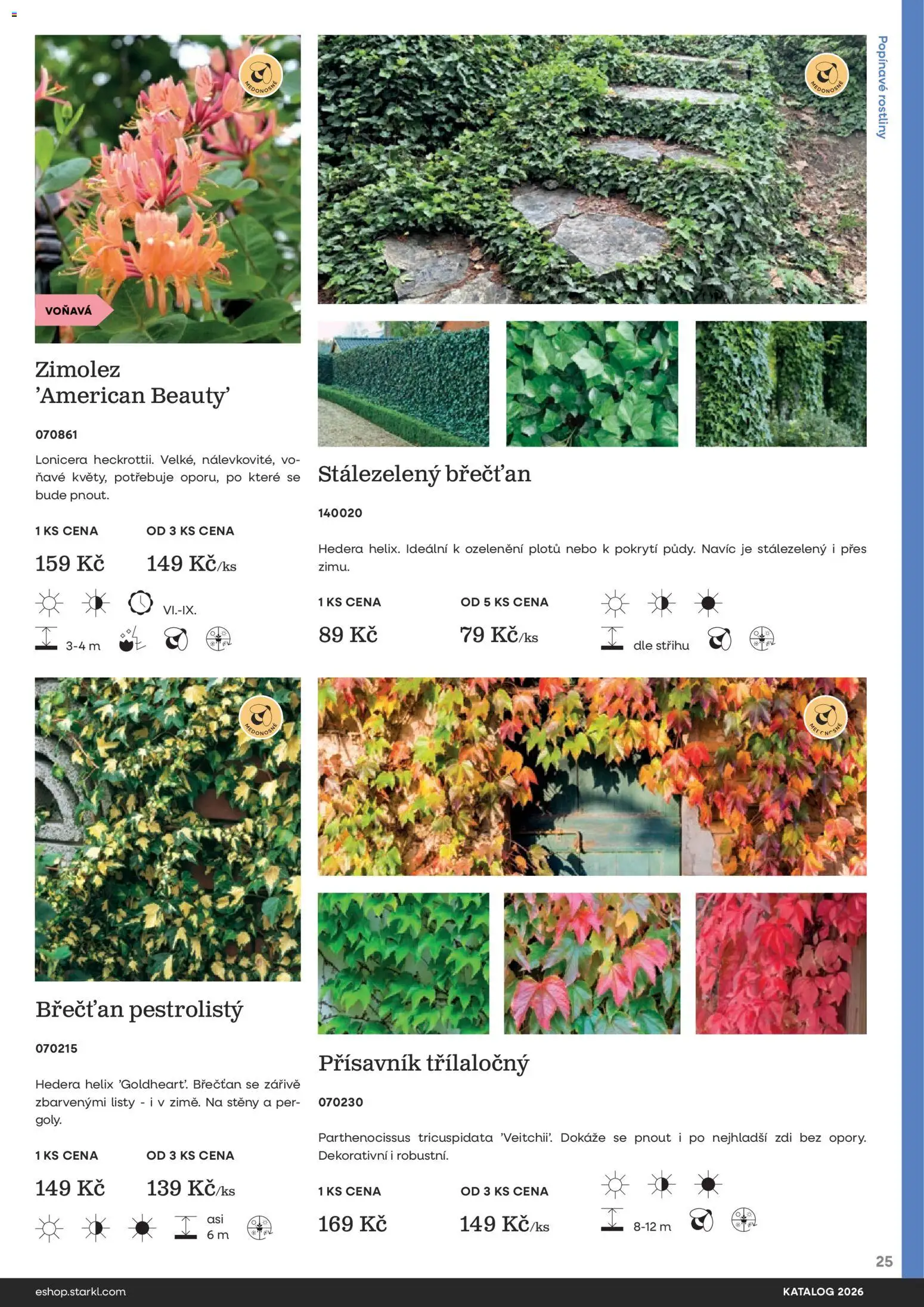 Starkl katalog od 25.02.2026 | Strana: 25 | Produkty: Rostliny