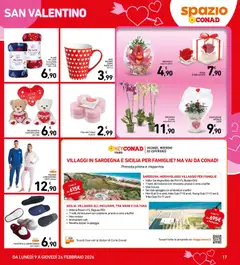 Anteprima del volantino Volantino Spazio Conad	 valido a partire dal 13.02.2026 | Pagina: 17
