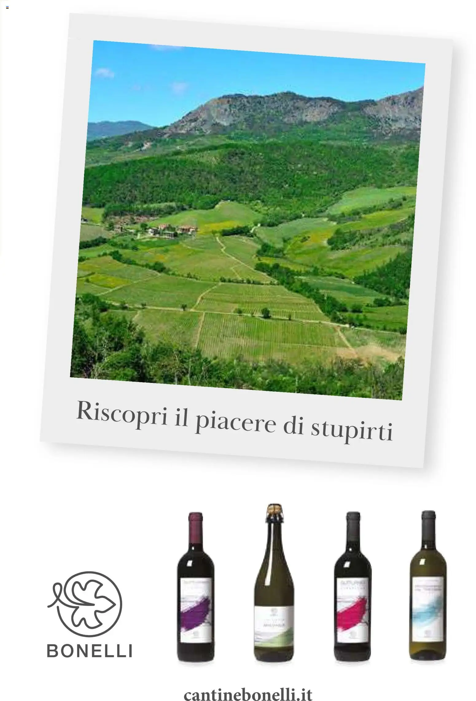 Volantino Gulliver del 01.01.2026 | Pagina: 45