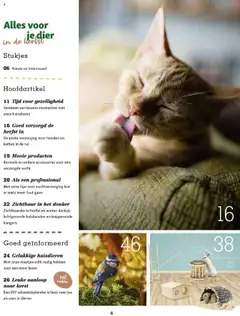 Maxi Zoo - Maxizoo Friends  - Voorbeeld van een folder van Maxi Zoo, geldig van 01.10.2025 | Pagina: 4 | Producten: Borstels, Kan