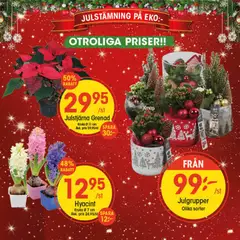 EKO - erbjudanden - Förhandsvisning av reklamblad från butik EKO aktuell från 15.12.2025 | Sida: 5 | Produkter: Kruka
