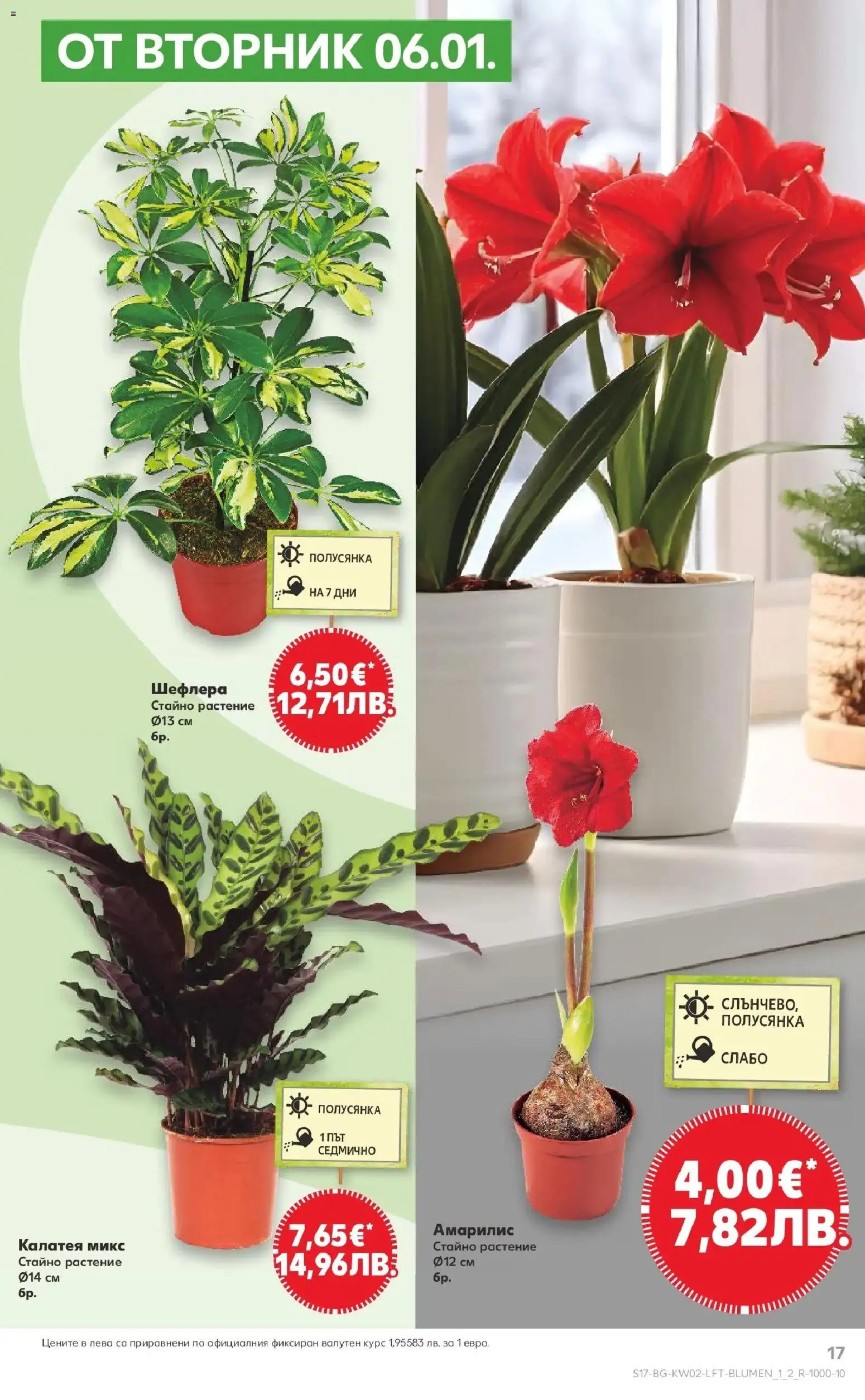 {H1} | Страница: 17