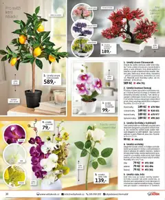 Velký Košík katalog - červenec  od 01.07.2025 | Strana: 38 | Produkty: Orchidej, Umělá orchidej, Květináč, Dekorace