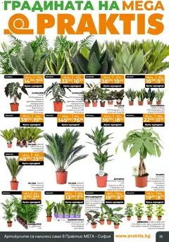 Преглед на Praktis брошура - Офертите са валидни от 27.10.2025 | Страница: 29 | Продукти: Поли, Палма