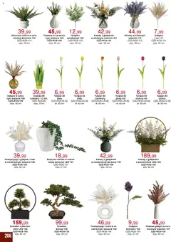 Bodzio Katalog od 01.07.2025 | Strona: 206 | Produkty: Róż, Tulipany, Kwiaty