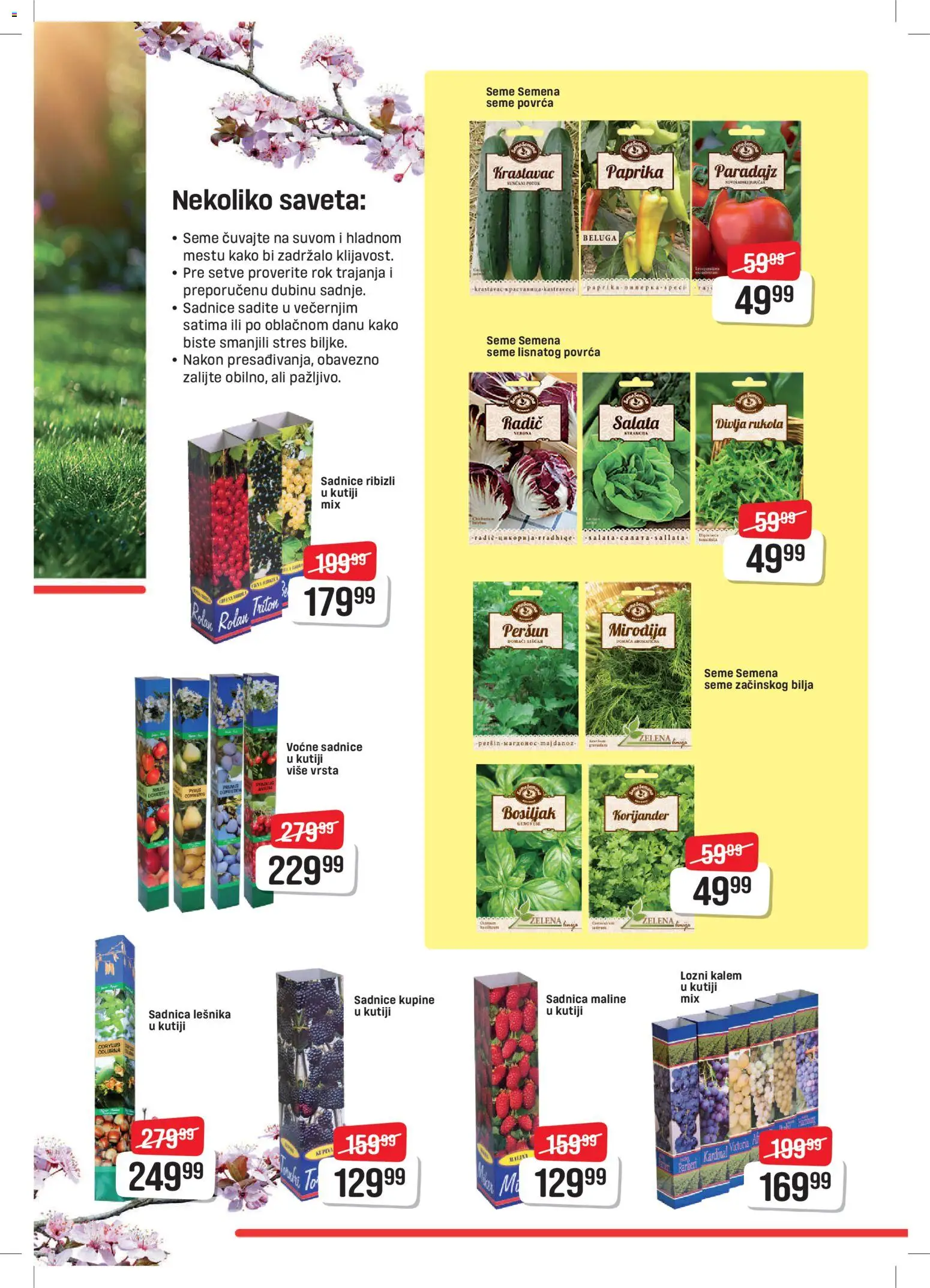 DIS katalog - važi od 06.03.2026 | Strana: 3 | Proizvode: Krastavac, Salata, Paprika, Paradajz