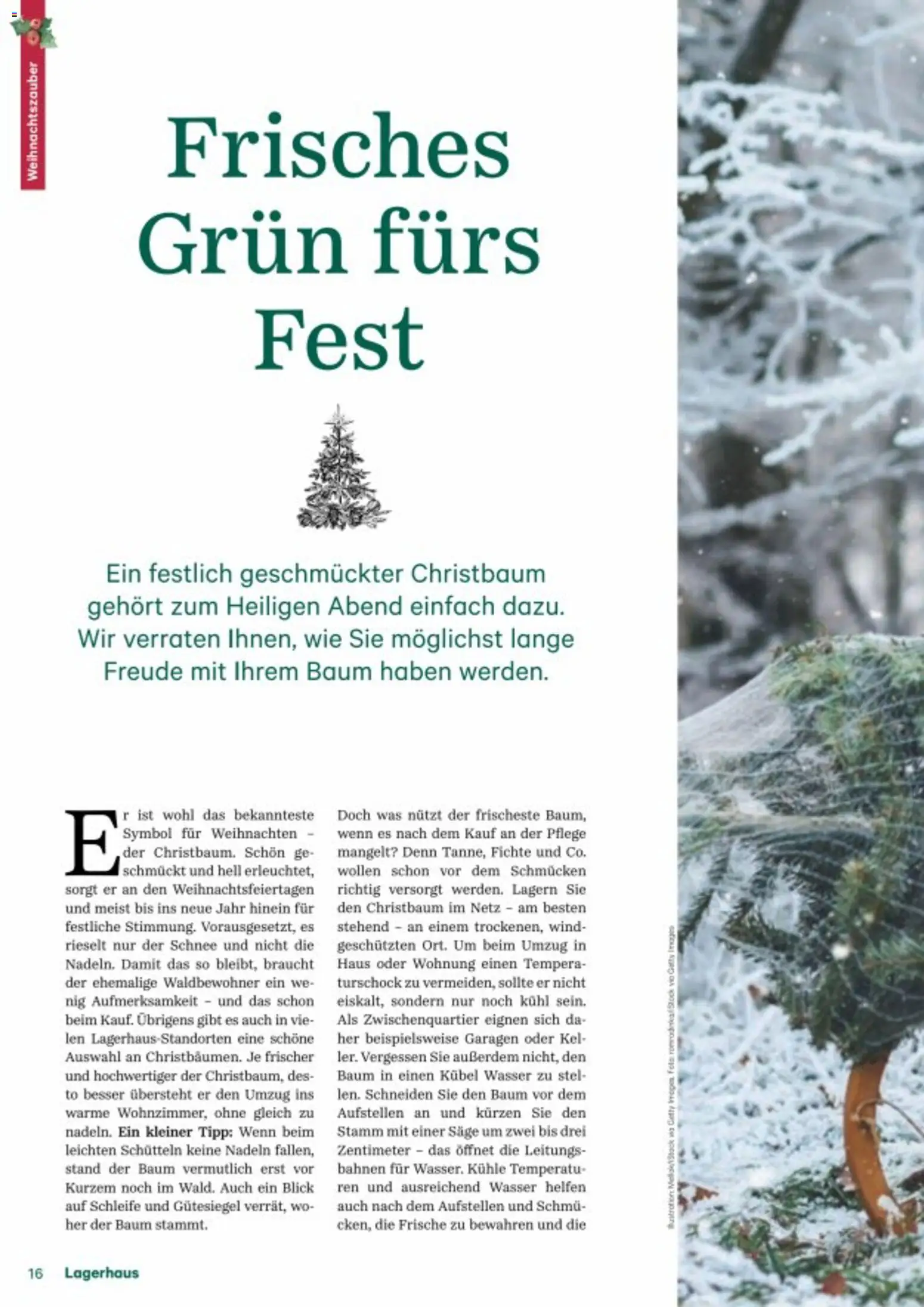 Lagerhaus Fürs Leben am Land gültig ab 01.11.2025 | Seite: 16 | Produkte: Erdbeeren, Salat, Gemüse