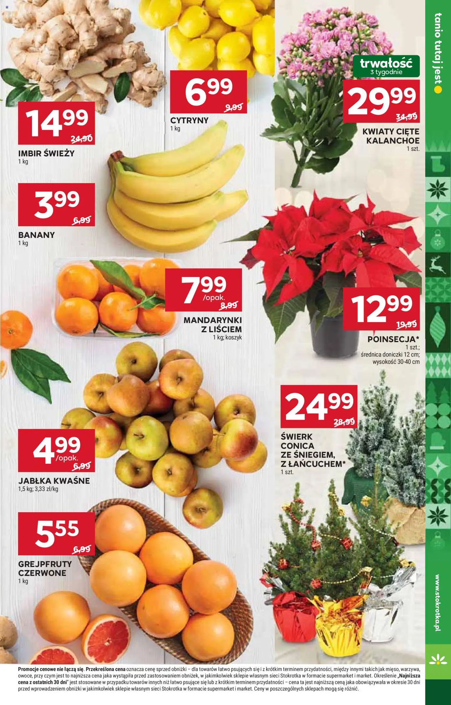 Stokrotka Gazetka - Market od 11.12.2025 | Strona: 13 | Produkty: Cytryny, Doniczki, Jabłka, Mandarynki