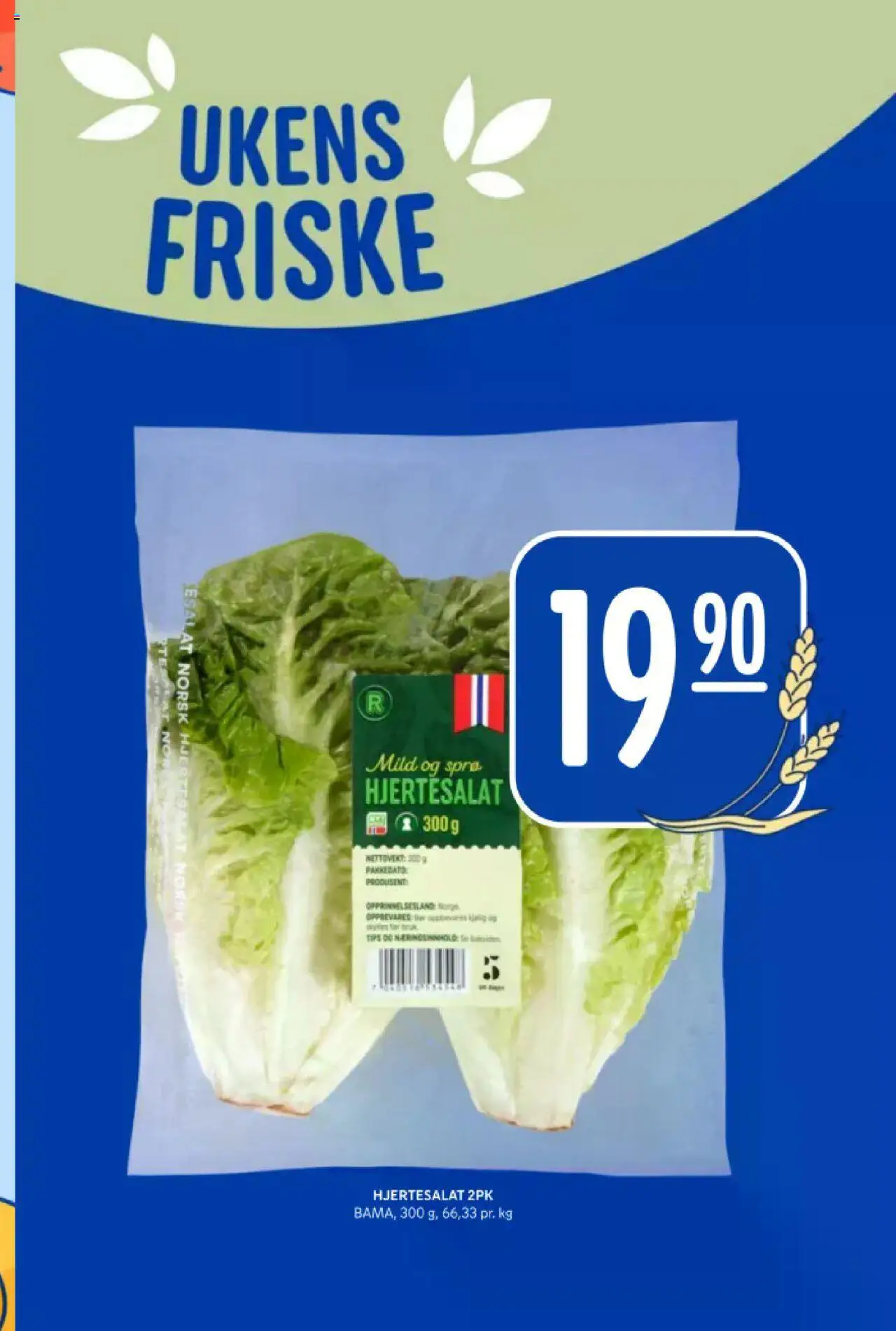  | Side: 10 | Produkter: Hjertesalat