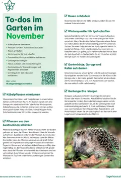 Lagerhaus Den Garten winterfit machen ab 20.10.2025 gültig | Seite: 5 | Produkte: Wasser, Bürste