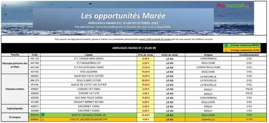 Promocash - Prévisualisation de Promocash Les opportunités Marée valide à partir de 07.10.2025