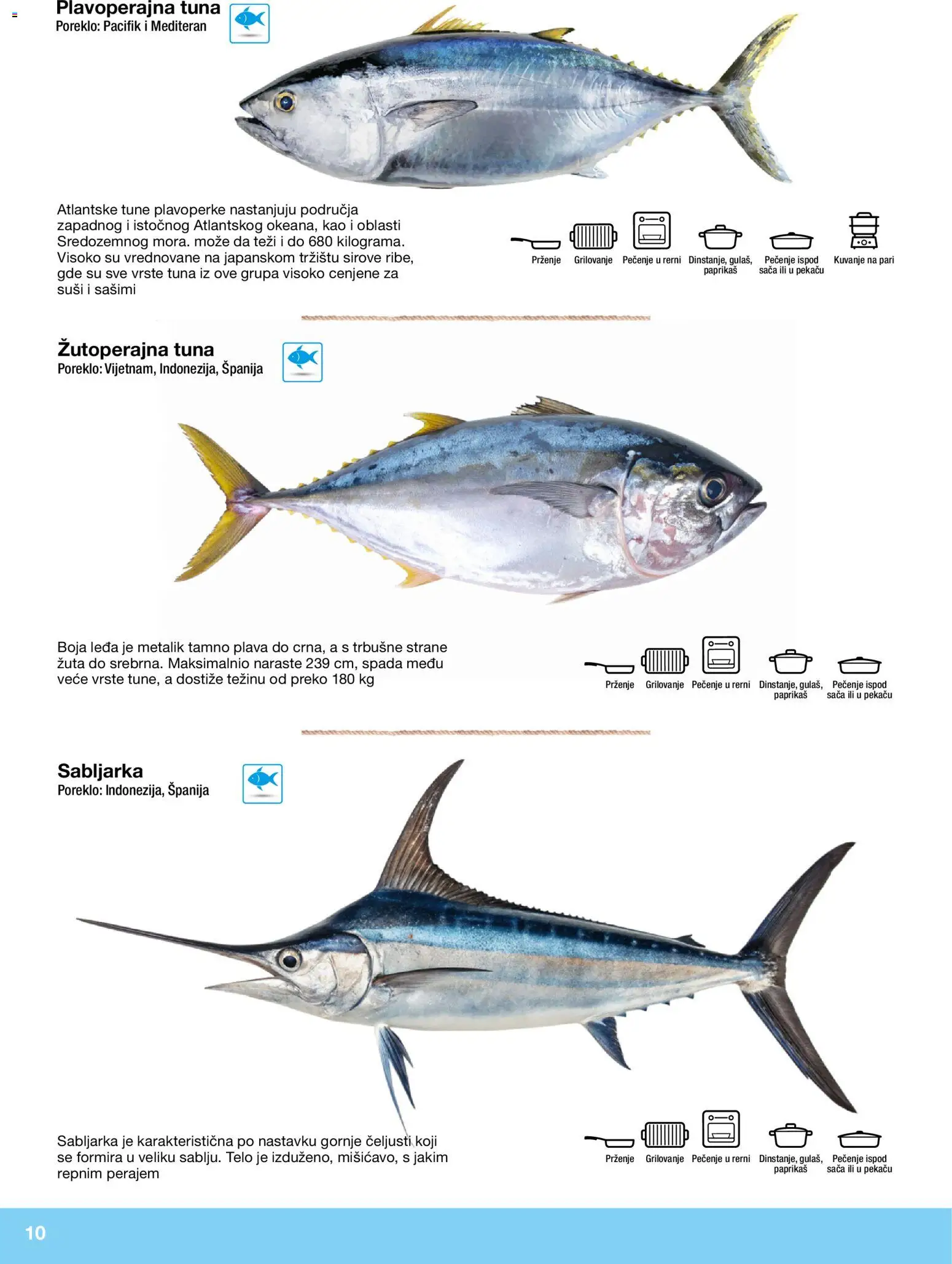 Metro katalog - važi od 10.12.2025 | Strana: 10