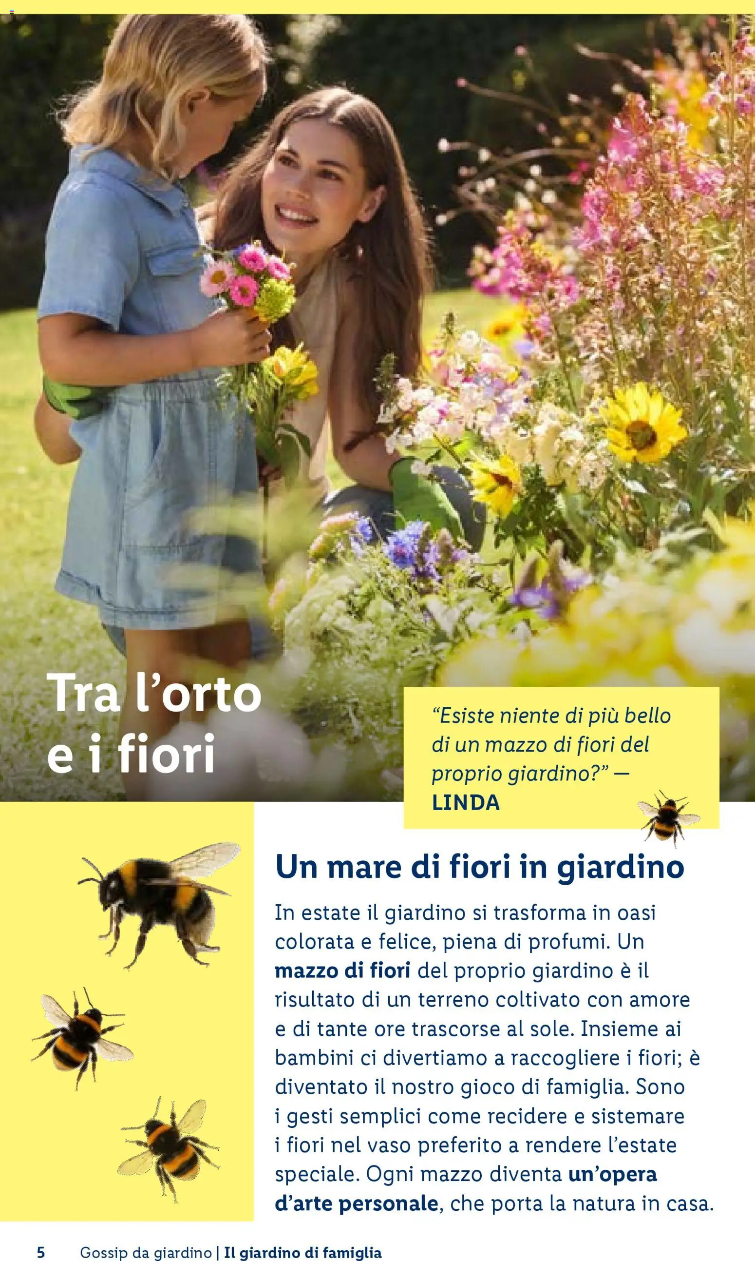 Volantino Lidl del 23.04.2026 | Pagina: 5 | Prodotti: Gioco, Vaso