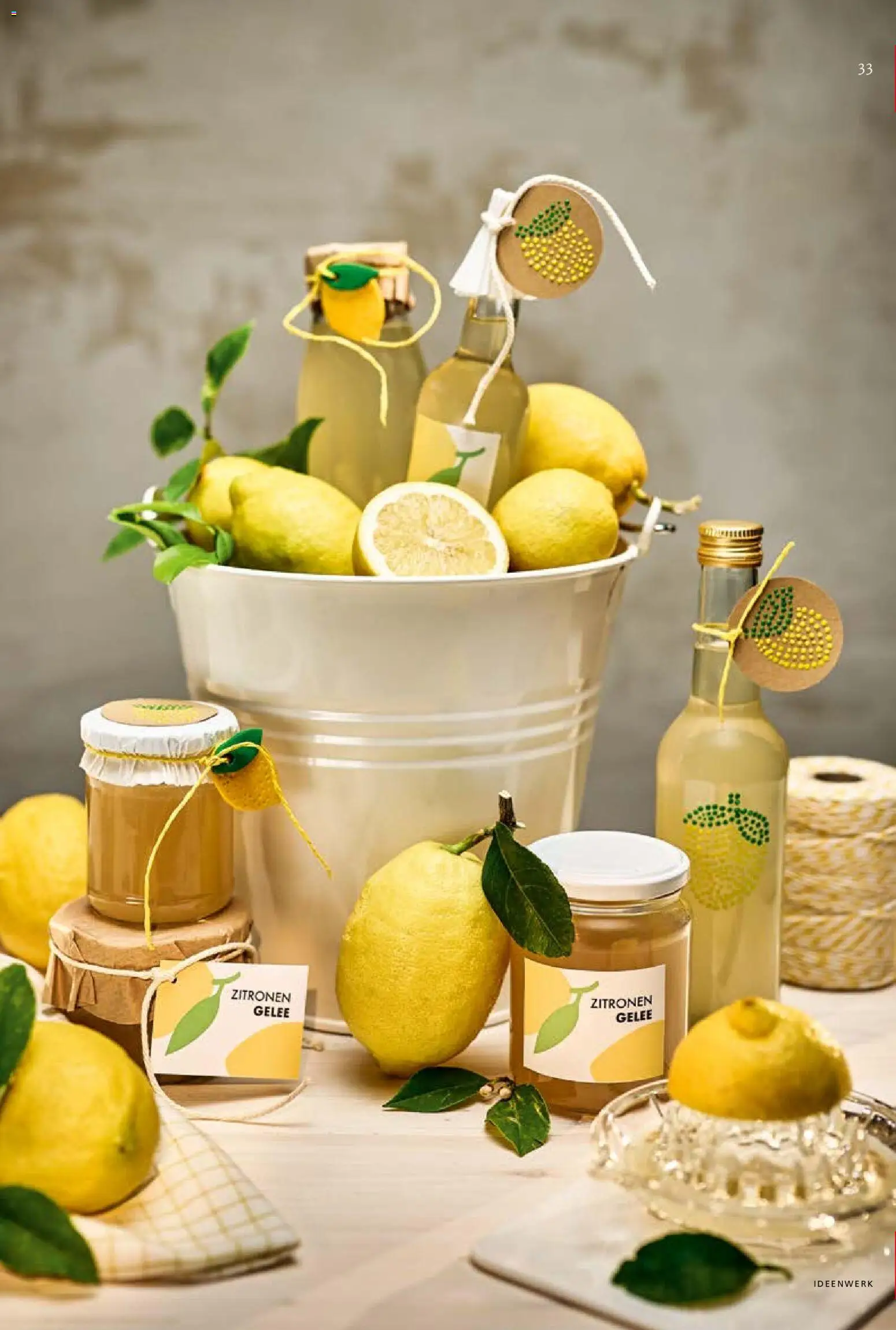 Pagro-Diskont Ideenwerk gültig ab 01.05.2026 | Seite: 33