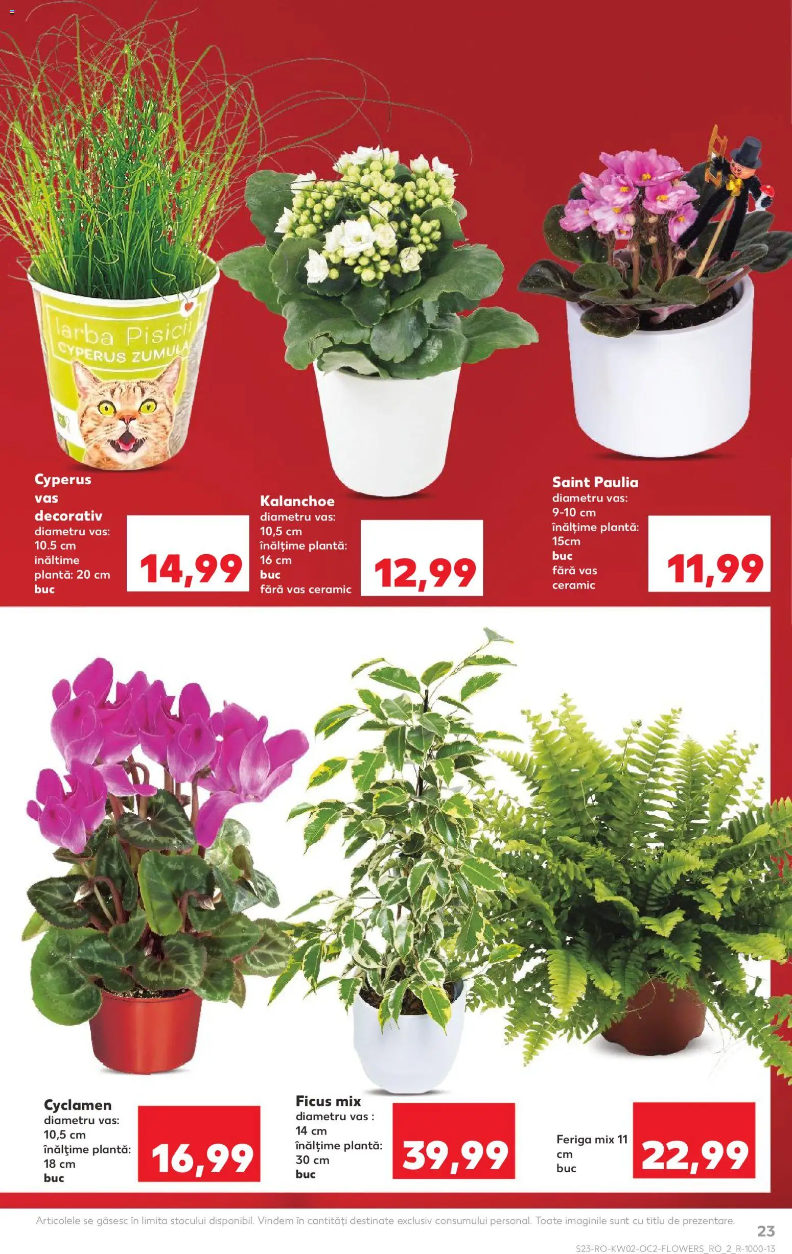 Noul catalog Kaufland – valabil de la 07.01.2026 | Pagină: 23