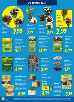Lidl katalog akcije – veljaven od 12.03.2026 | Stran: 24 | Izdelki: Cvetje