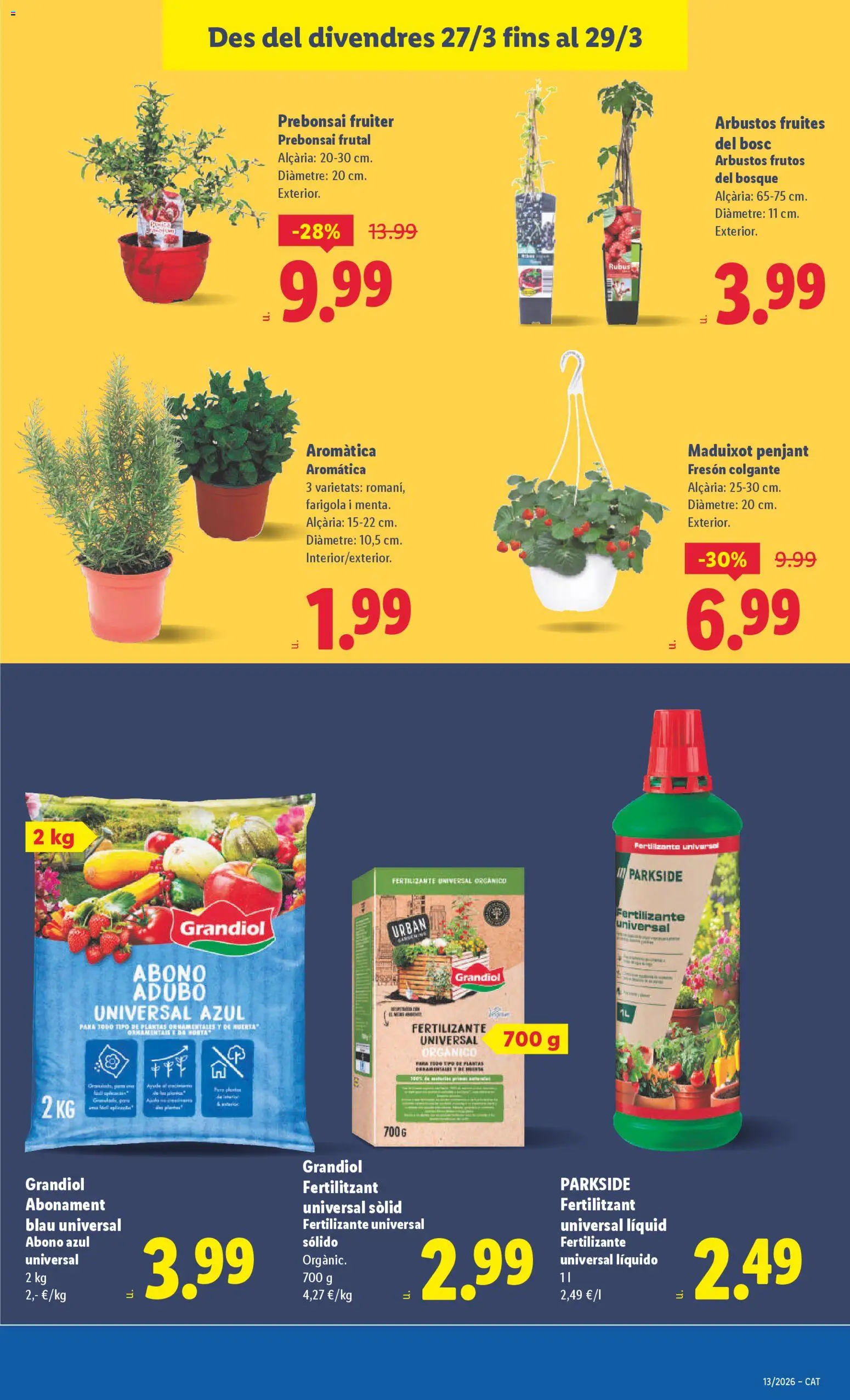 Lidl folleto │ válido desde el 23.03.2026 | Página: 31