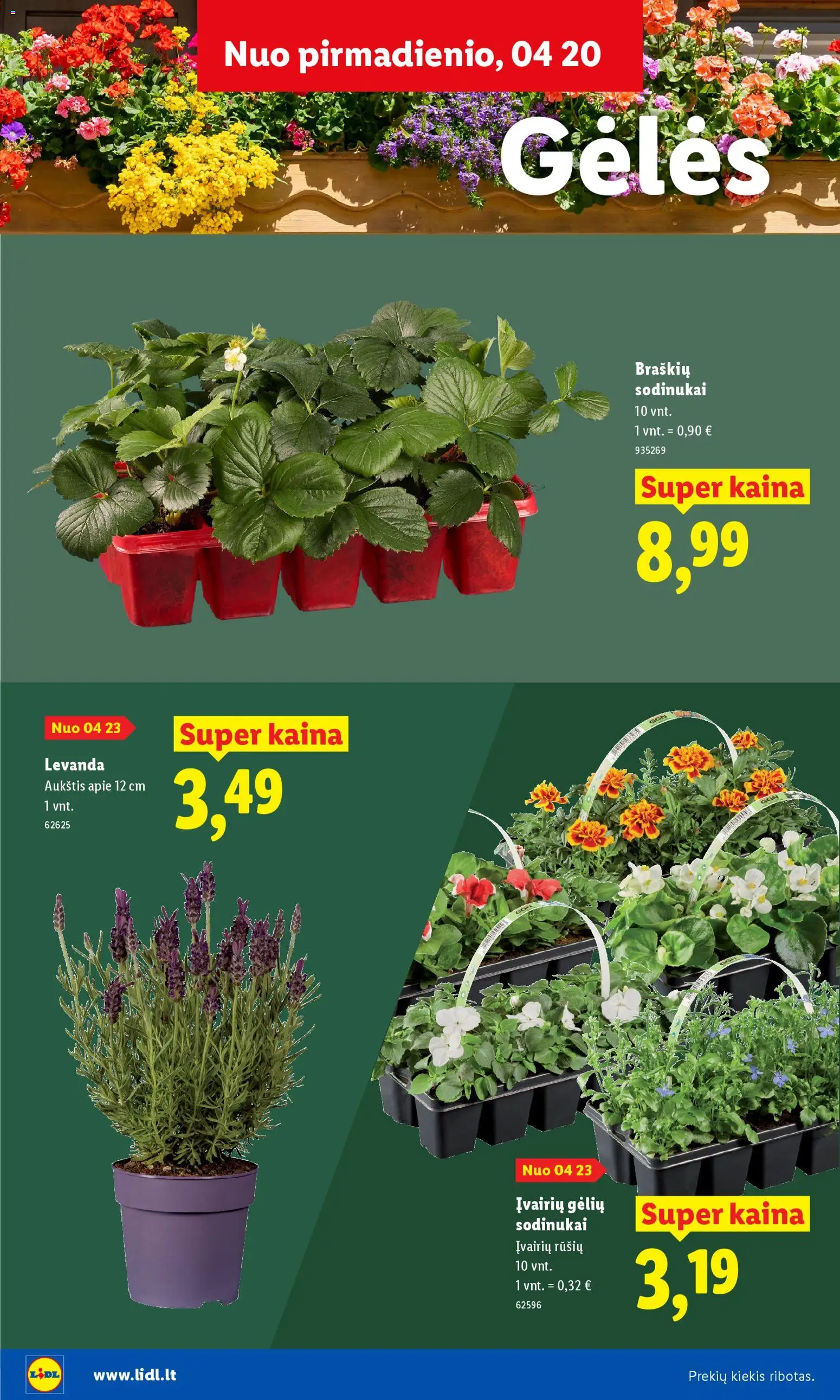 LIDL akcijos nuo 20.02.2026 | Puslapis: 8