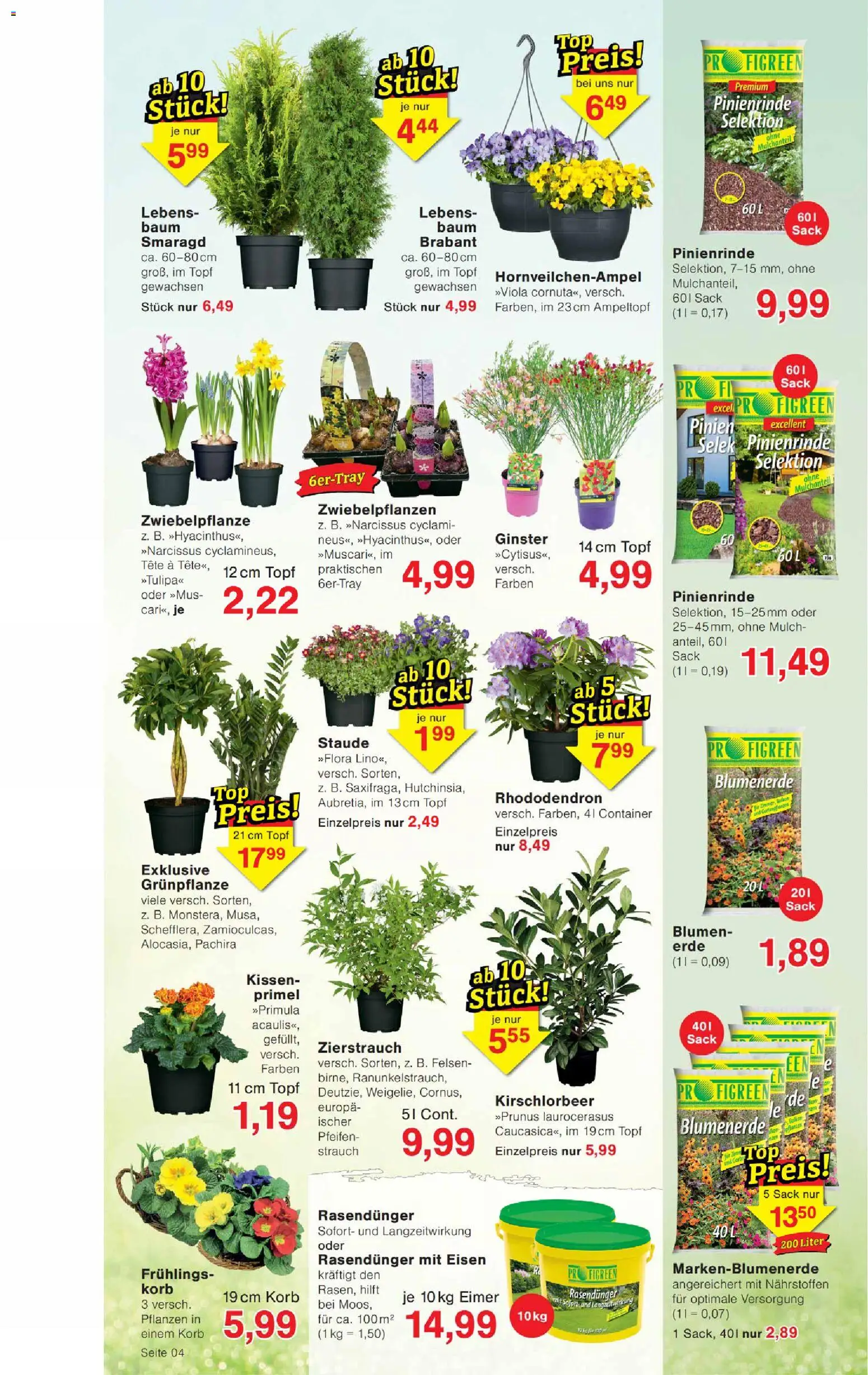 Wiglo Wunderland Prospekt – gültig ab 23.02.2026 | Seite: 4 | Produkte: Top, Kissen, Korb, Blumenerde