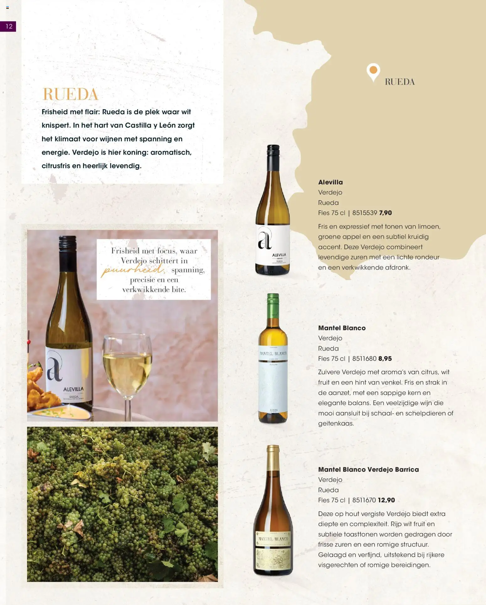 {H1} | Pagina: 12 | Producten: Schaal, Fles, Fruit, Appel