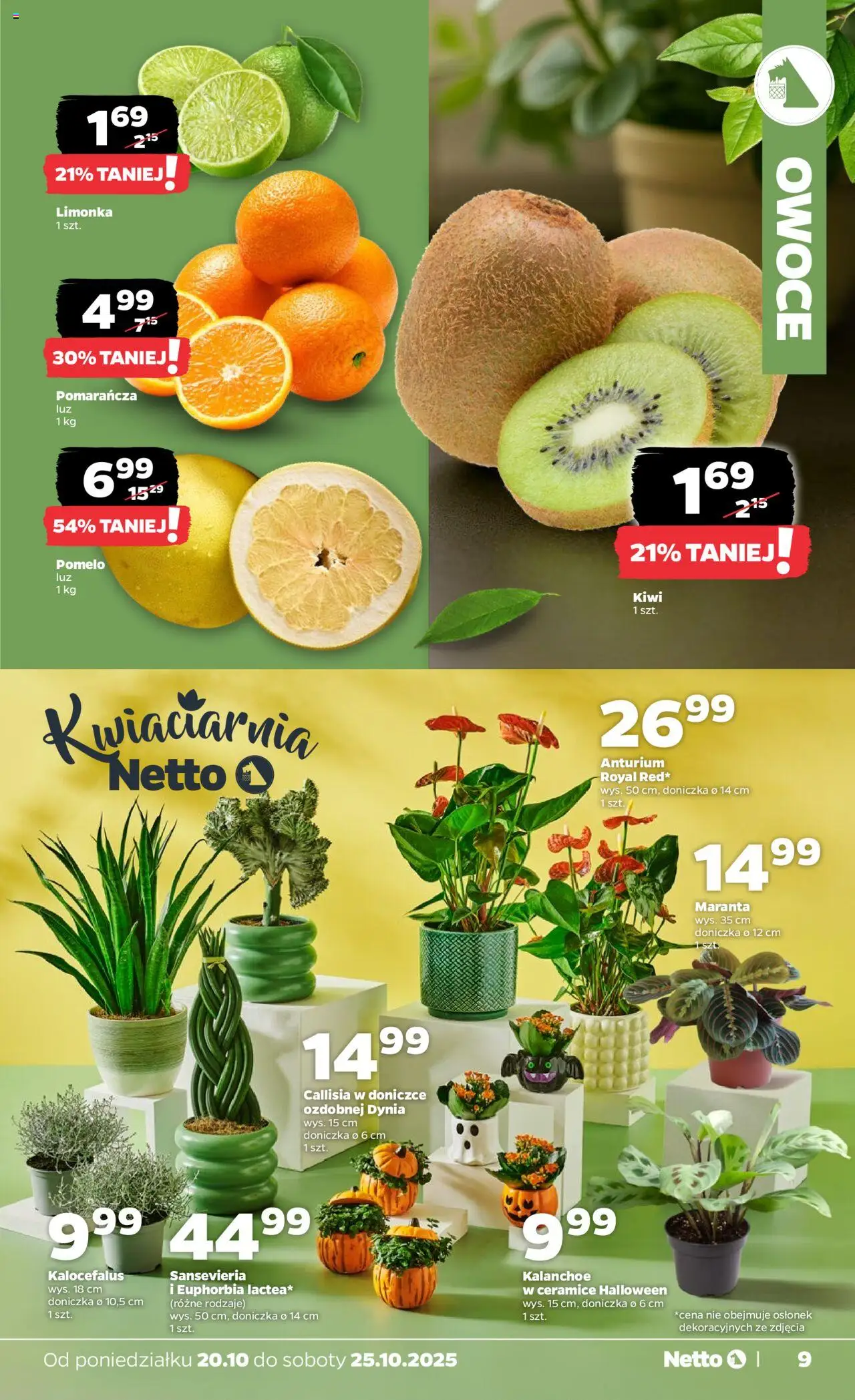 Netto gazetka - Spożywcza od 20.10.2025 | Strona: 9 | Produkty: Limonka, Dynia, Pomelo, Doniczka