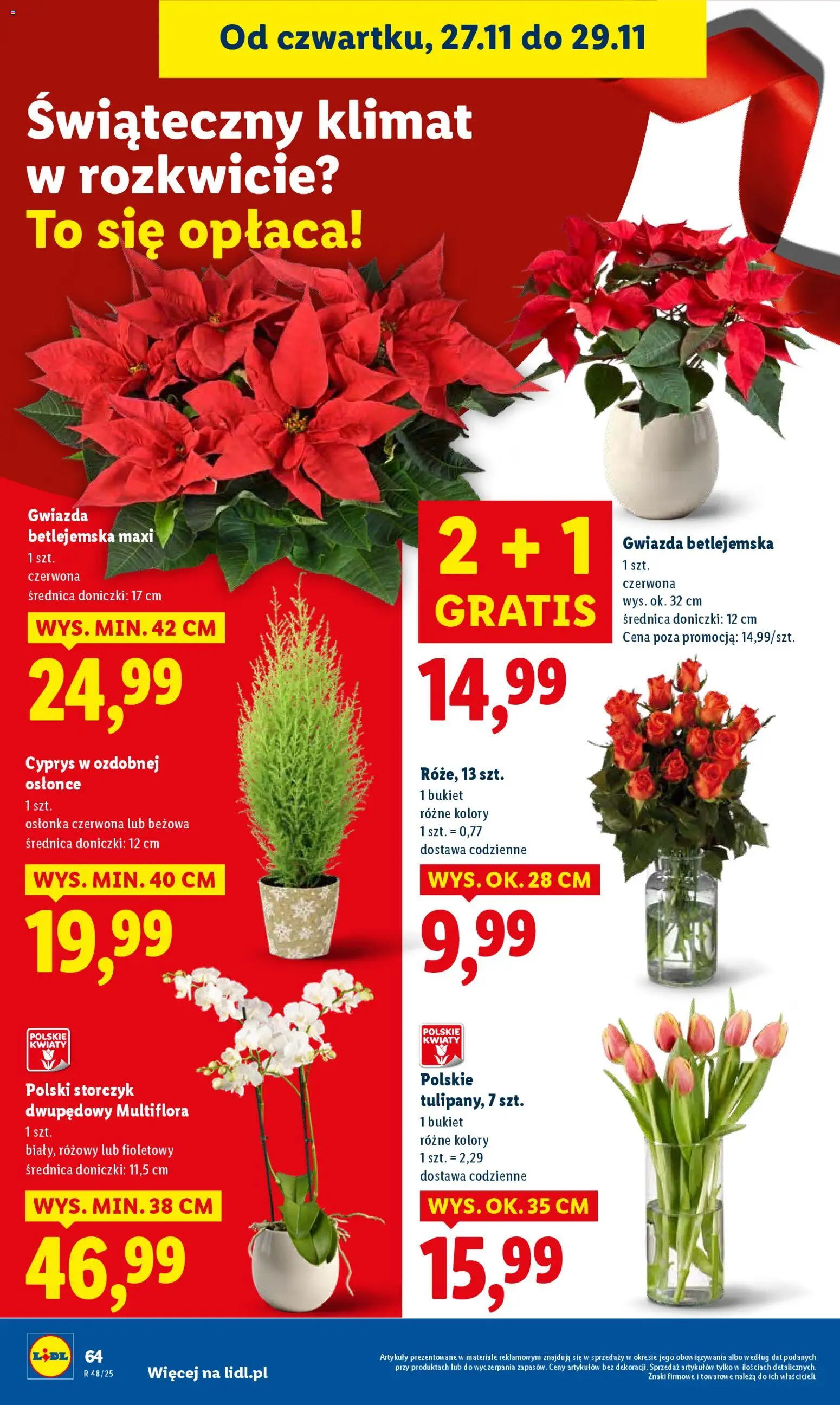 Lidl Black Friday od 27.11.2025 | Strona: 64 | Produkty: Doniczki, Storczyk, Kwiaty