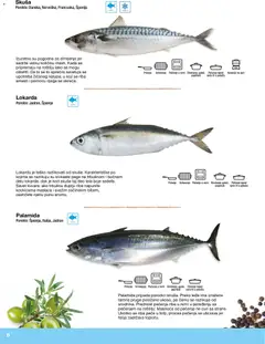 Metro riba i plodovi mora - pregled Metro kataloga - važi od 10.12.2025 | Strana: 8 | Proizvode: Skuša, Riba