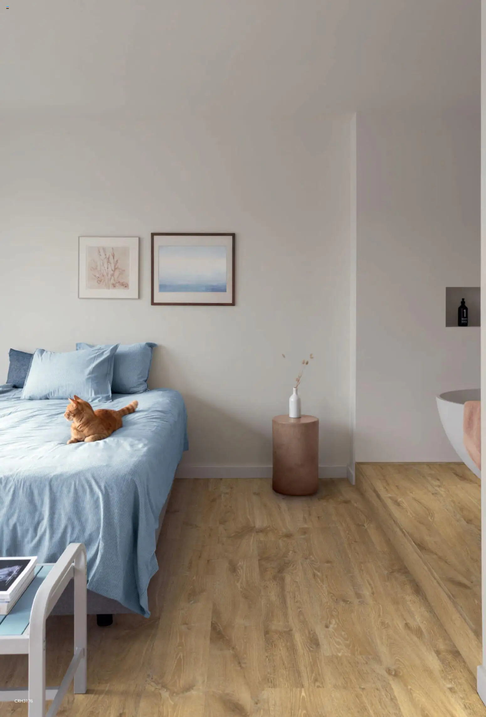 Noul catalog Proges – valabil de la 04.11.2025 | Pagină: 62