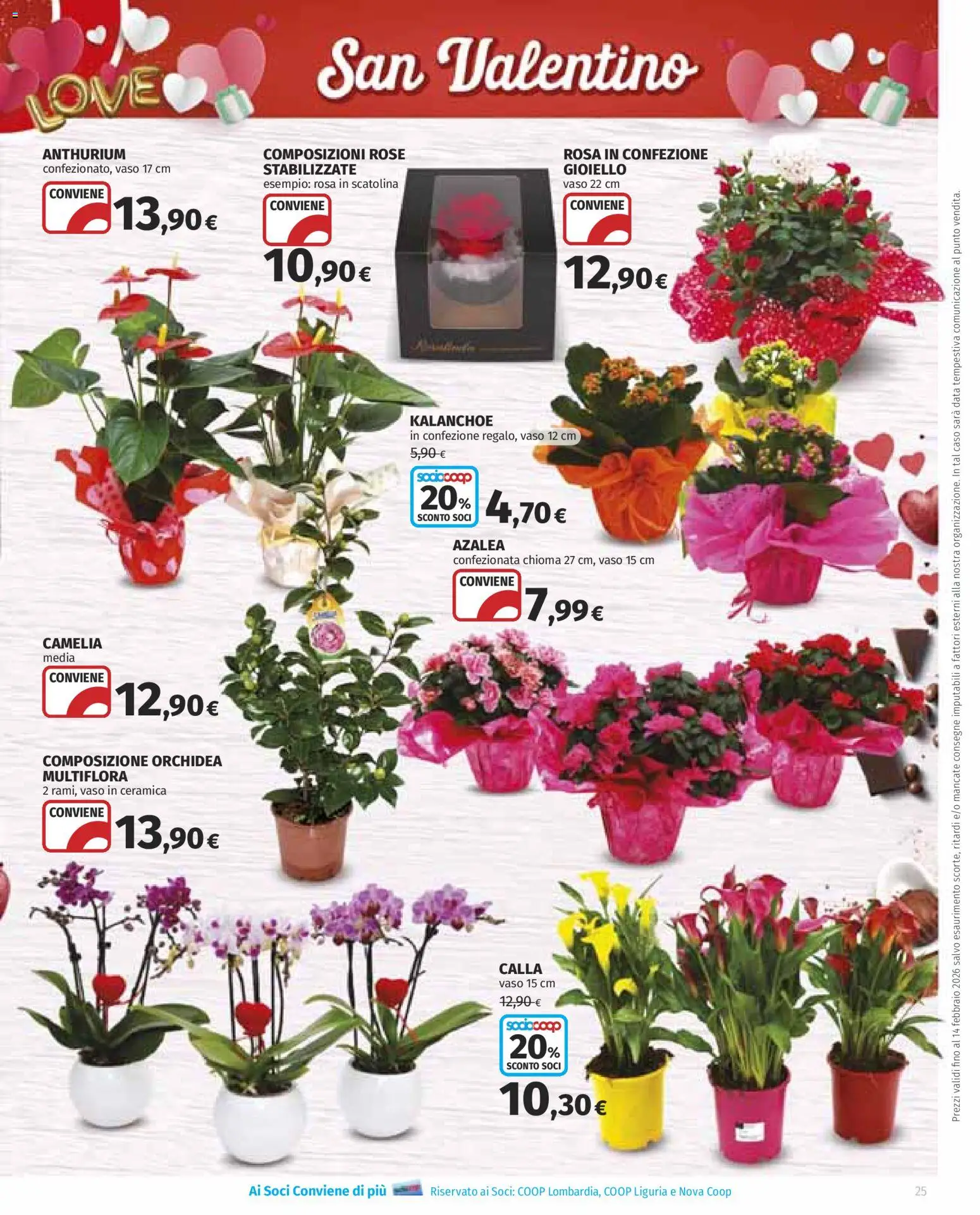 Volantino Ipercoop del 29.01.2026 | Pagina: 25 | Prodotti: Data, Orchidea, Vaso