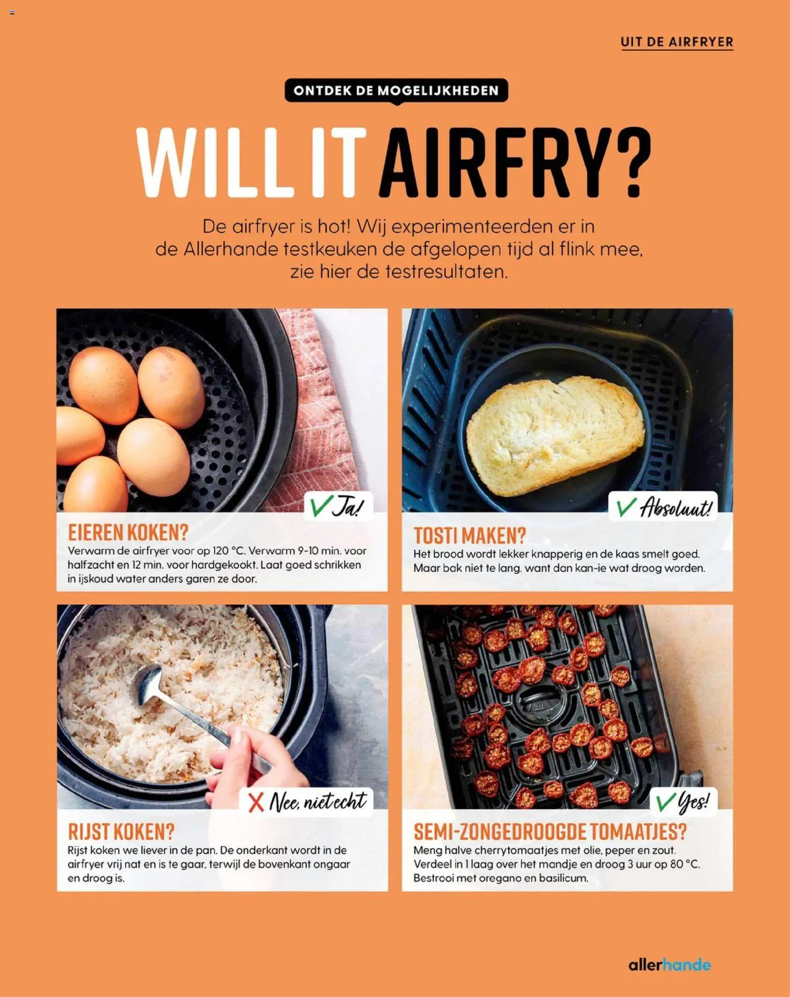 {H1} | Pagina: 31 | Producten: Kaas, Rijst, Festék, Peper