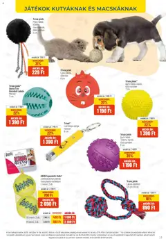 AlphaZoo Akciós újság - amely érvényes a következő dátumtól: 09.10.2025 | Oldal: 13