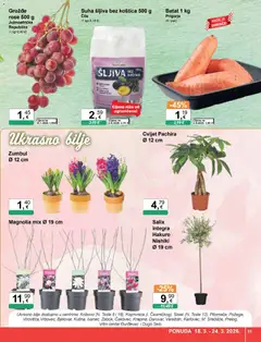 Katalog KTC - Pregled kataloga iz trgovine KTC, vrijedi od 18.03.2026 | Stranica: 11 | Proizvodi: Šljiva, Voće, Grožđe