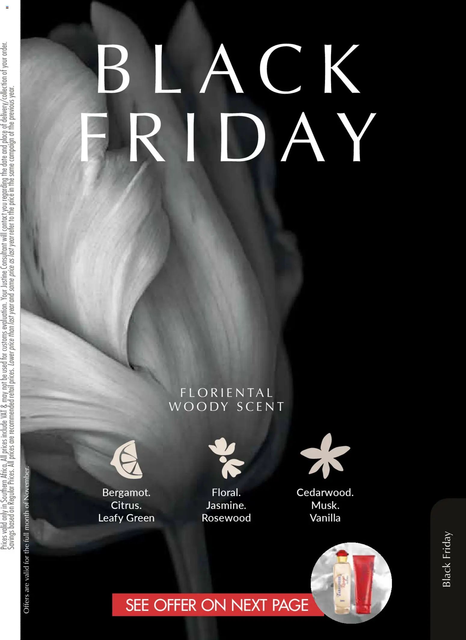 New Justine catalogue – valid from 01.11.2025 | Page: 105