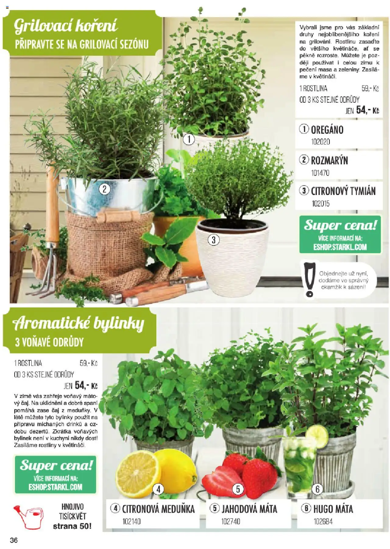 Starkl katalog jaro 2024 od 06.01.2025 | Strana: 36 | Produkty: Čaj, Koření, Rostliny, Hnojivo