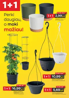 Jupoja leidinys galioja nuo 08.04.2026 | Puslapis: 4 | Prekių: Vazonas